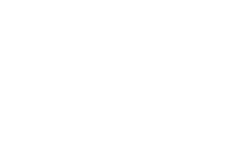 RotorSwing